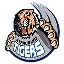 Straubing Tigers APK