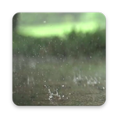 Raindrops Live Wallpaper icon