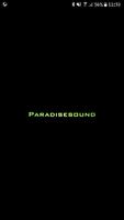 Paradisesound Affiche