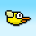 Flappy Chick