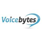 Voicebytes Voicemail to Email ícone