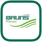 Icona Bruns Plants