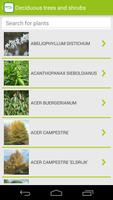 1 Schermata Bruns Plants