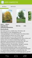 2 Schermata Bruns Plants