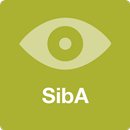 SibA Simulation APK