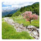 Mountain River Live Wallpaper simgesi