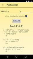 Elliptic Curves Calculator poster