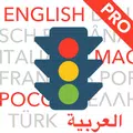Führerschein multilingual GOLD 2021