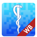 WB@pp