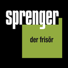 Sprenger icône