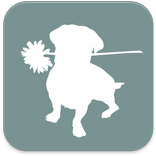 Hundesalon Zampetta