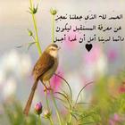 صور حكم رائعه 아이콘