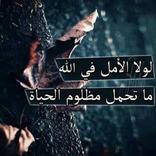 اقوال معاصره مفيده