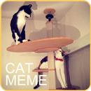 Cat Meme Picture aplikacja