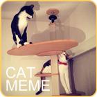 Cat Meme Picture icône