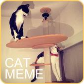Cat Meme Picture icon