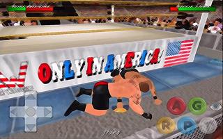 Guide Wrestling Revoluti3D WWE Fight Legends SMART ảnh chụp màn hình 2