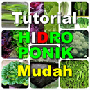 Tutorial Hidroponik Mudah APK