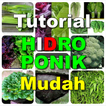 Tutorial Hidroponik Mudah