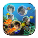 My Photo Bubble Aqurium LWP APK