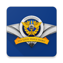Customs Declaration@KNO APK