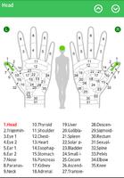 Hand Chart  / for Reflexology Affiche