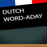 Learn Dutch 圖標