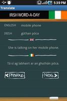 Learn Irish ポスター