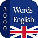 3000 Words English APK