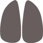 Tuberculose Dz icône