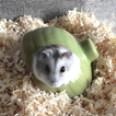 ”Hamster Slider Puzzle