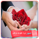 صور ورد جوري وازهار روعة 2017 иконка