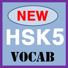 New HSK level 5 Vocabulary icône