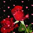 ”Rose Heart - Free Live Wallpaper