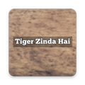 Movie Video For Tiger Zinda Hai