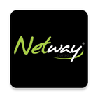 Netway Cursos icon