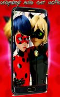 Ladybug And Cat Noir Wallpaper poster