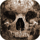 Death Skull Theme APK