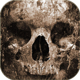 Death Skull Theme icône