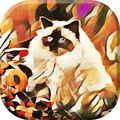 Deep Art for Effects