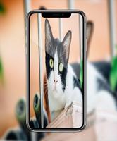 HD Camera Pro - Hd Photo For iphone X Affiche