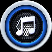 Music+Paradise Downloader Pro постер