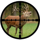 Best Deer Calls HD - Free icon