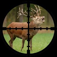 Best Deer Calls HD - Free 截圖 3