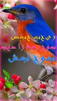 صبح بخیر، بعد از ظهر، شب بخیر. Affiche