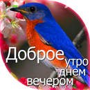 Доброе утро, Добрый день, спокойной ночи. APK