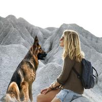 German Shepherd Photo Editor poster