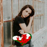 Wales Flag Heart Effect : Photo Editor 海報