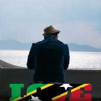St Kitts & Nevis Flag Love Effect : Photo Editor capture d'écran 3