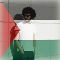 Poster Palestine Flag On Face Maker : Photo Editor